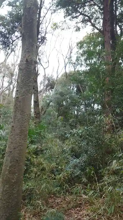 明治神宮の周辺