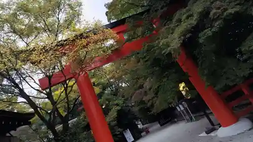 賀茂御祖神社（下鴨神社）(京都府)