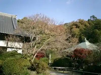 浄光明寺のその他建物