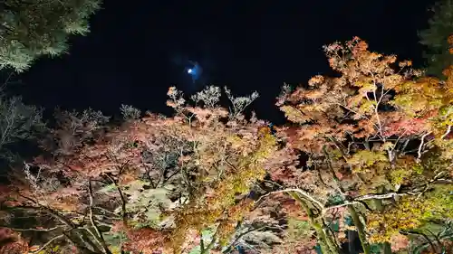 宝厳院(京都府)