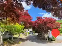 明鏡山龍雲寺の自然