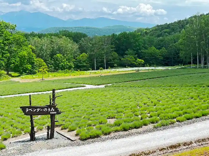 富良野神社の周辺