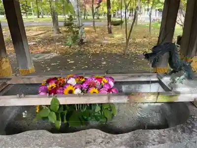 彌彦神社　(伊夜日子神社)の手水舎
