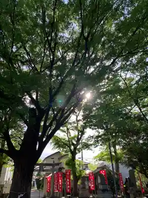 新町諏訪神社(群馬県)