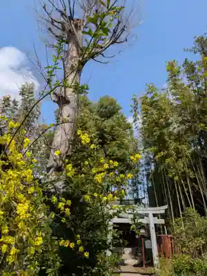 鷺宮八幡神社(東京都)