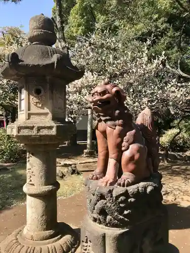 品川神社の狛犬