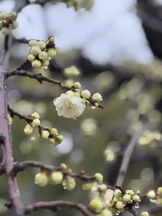 伊勢の国 四天王寺(三重県)