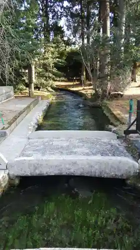 乃木神社の庭園