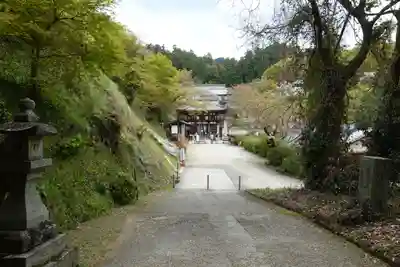 岡寺（龍蓋寺）の周辺