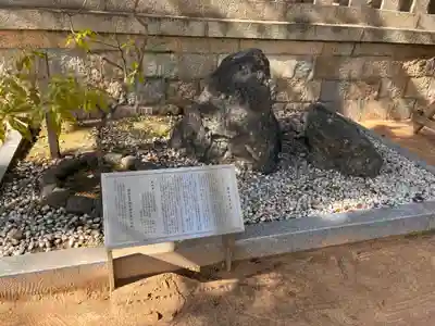 湊川神社の自然