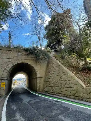 大杉弘法堂（弘法スギ）(滋賀県)