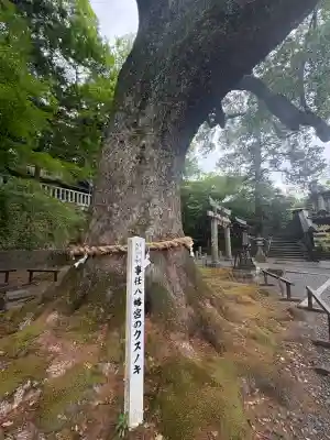 事任八幡宮の{uncategorized: "未分類", other: "その他", undefined: "問題あり", building: "その他建物", grave: "お墓", sacred_gate: "鳥居", guardian: "狛犬", statue: "像", buddha: "仏像", history: "歴史", nature: "自然", garden: "庭園", animal: "動物", pagoda: "塔", temizu: "手水舎", mountain_gate: "山門・神門", sanctuary: "本殿・本堂", subordinate: "末社・摂社", art: "芸術", scenery: "景色", jizo: "地蔵", ema: "絵馬", goshuin: "御朱印", omikuji: "おみくじ", items: "授与品その他", amulet: "お守り", goshuincho: "御朱印帳", eats: "食事", festival: "お祭り", votive_dance: "神楽", shichigosan: "七五三参", wedding: "結婚式", experience: "体験その他", initially: "初詣", around: "周辺", anti_infection: "感染症対策"}