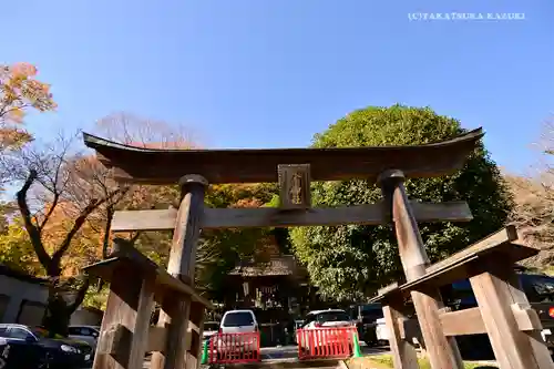 高尾山麓氷川神社の鳥居