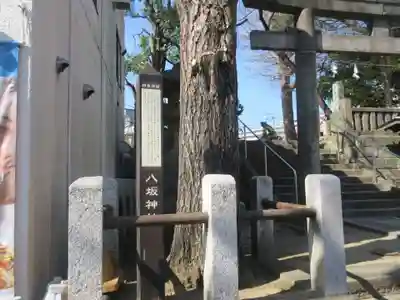 八坂神社(神奈川県)