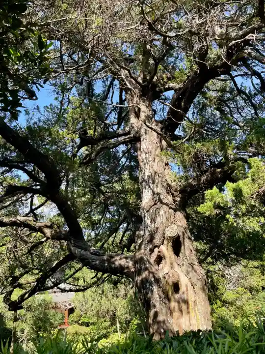 寿福寺(神奈川県)