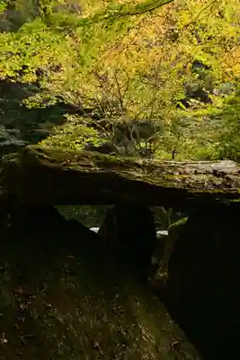 東陸様(高知県)