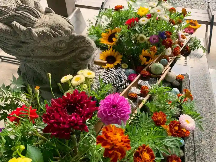 滑川神社 - 仕事と子どもの守り神の手水舎