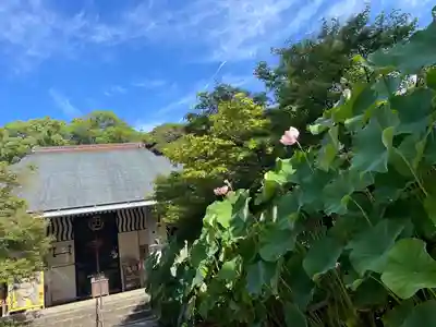 伊勢の国 四天王寺(三重県)