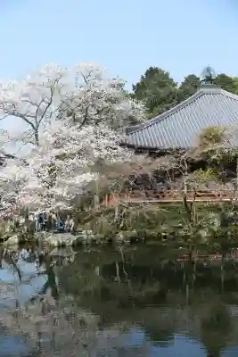 醍醐寺の{uncategorized: "未分類", other: "その他", undefined: "問題あり", building: "その他建物", grave: "お墓", sacred_gate: "鳥居", guardian: "狛犬", statue: "像", buddha: "仏像", history: "歴史", nature: "自然", garden: "庭園", animal: "動物", pagoda: "塔", temizu: "手水舎", mountain_gate: "山門・神門", sanctuary: "本殿・本堂", subordinate: "末社・摂社", art: "芸術", scenery: "景色", jizo: "地蔵", ema: "絵馬", goshuin: "御朱印", omikuji: "おみくじ", items: "授与品その他", amulet: "お守り", goshuincho: "御朱印帳", eats: "食事", festival: "お祭り", votive_dance: "神楽", shichigosan: "七五三参", wedding: "結婚式", experience: "体験その他", initially: "初詣", around: "周辺", anti_infection: "感染症対策"}