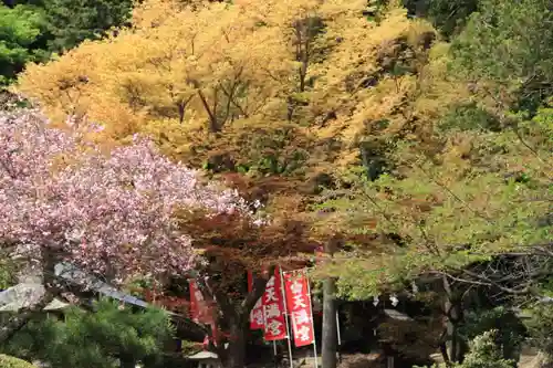 鹿島大神宮の庭園