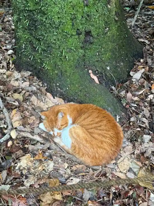 熱田神宮の{uncategorized: "未分類", other: "その他", undefined: "問題あり", building: "その他建物", grave: "お墓", sacred_gate: "鳥居", guardian: "狛犬", statue: "像", buddha: "仏像", history: "歴史", nature: "自然", garden: "庭園", animal: "動物", pagoda: "塔", temizu: "手水舎", mountain_gate: "山門・神門", sanctuary: "本殿・本堂", subordinate: "末社・摂社", art: "芸術", scenery: "景色", jizo: "地蔵", ema: "絵馬", goshuin: "御朱印", omikuji: "おみくじ", items: "授与品その他", amulet: "お守り", goshuincho: "御朱印帳", eats: "食事", festival: "お祭り", votive_dance: "神楽", shichigosan: "七五三参", wedding: "結婚式", experience: "体験その他", initially: "初詣", around: "周辺", anti_infection: "感染症対策"}