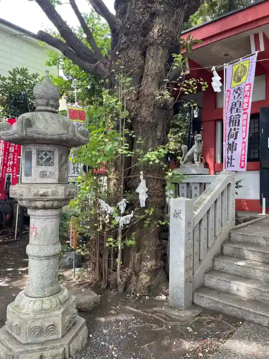 笠䅣稲荷神社(神奈川県)