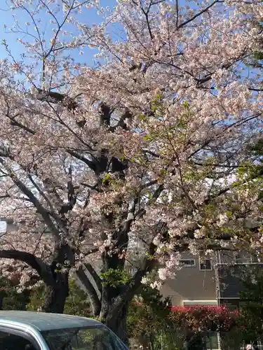 蓮大寺(神奈川県)