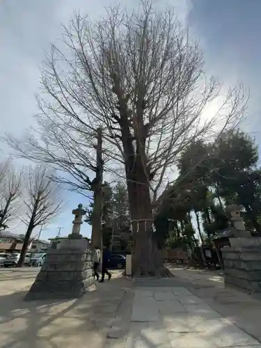 春日部八幡神社(埼玉県)