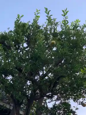 得浄寺(大阪府)