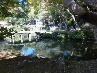 出雲大社北島国造館 出雲教(島根県)