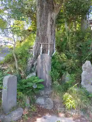 鹿島神社(福島県)