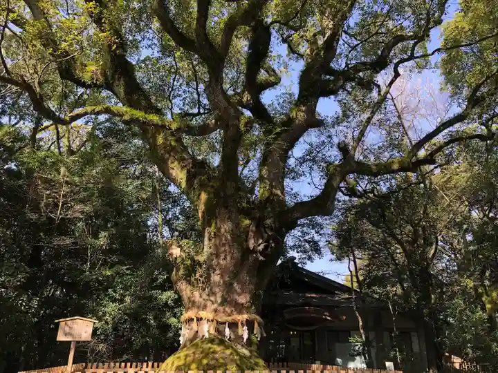 熱田神宮の自然