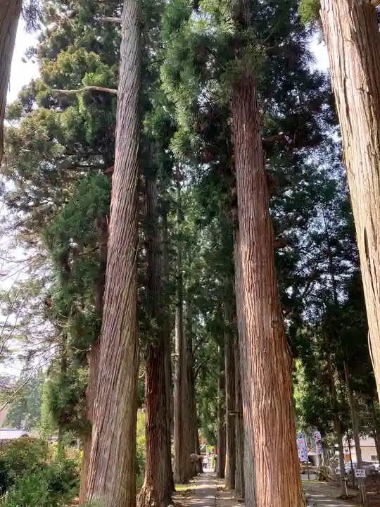 唐松神社(秋田県)