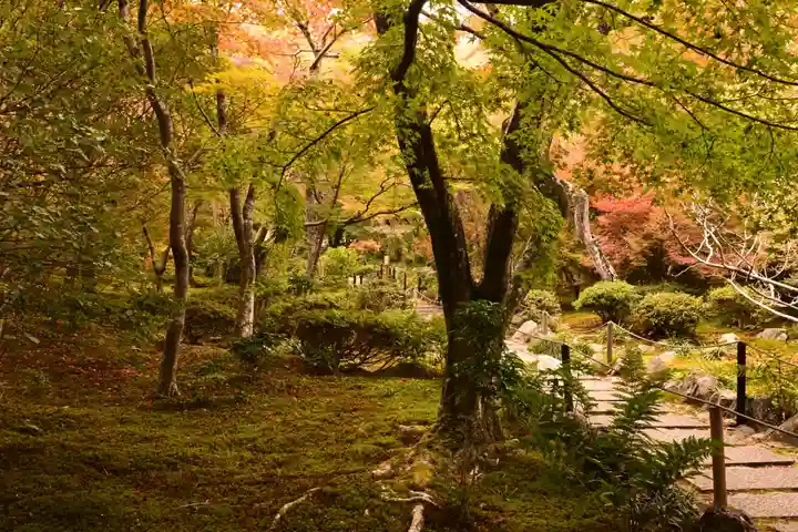 宝筐院(京都府)