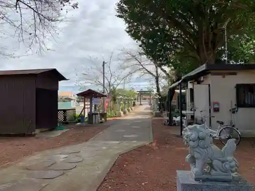 明治神社の狛犬