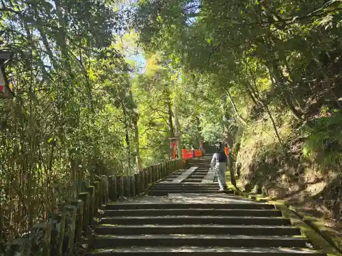 鞍馬寺(京都府)