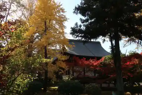 廣隆寺(京都府)