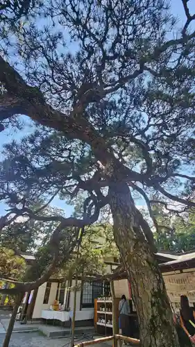 甲斐國一宮 浅間神社(山梨県)