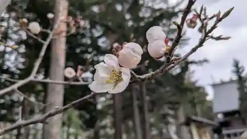 旭川天満宮の自然
