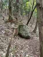 鳥越観音の自然