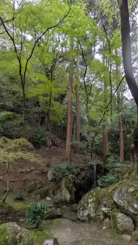 醍醐寺(京都府)