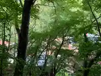 愛宕神社(福島県)