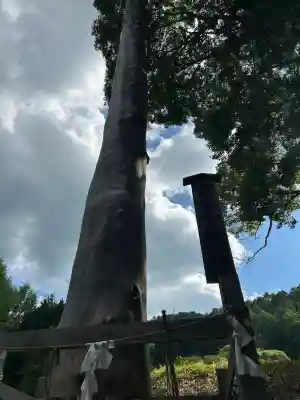 諏訪大社上社前宮(長野県)