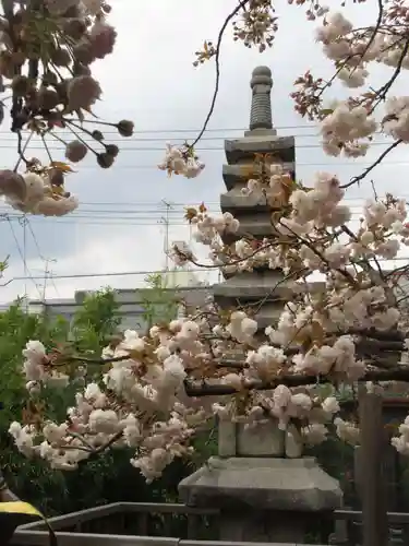 引接寺（千本ゑんま堂）の塔