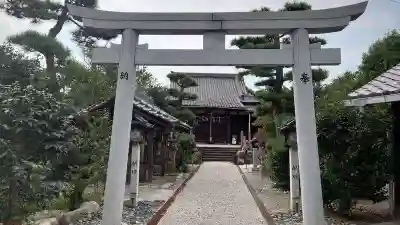 玉三稲荷神社の鳥居