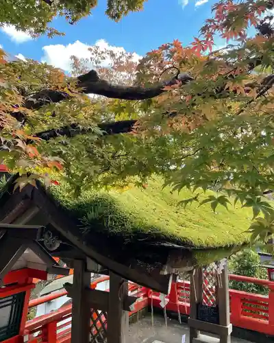 鞍馬寺(京都府)