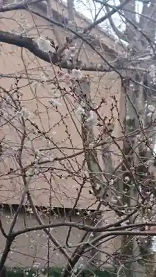 熊野神社の自然