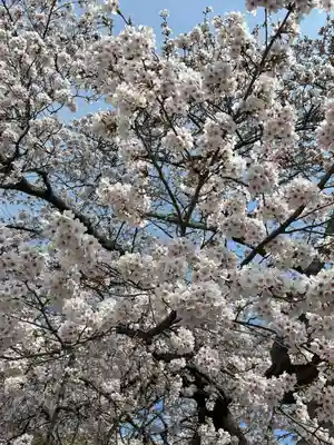 館腰神社(宮城県)