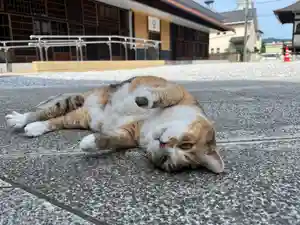 秩父札所十三番 慈眼寺(埼玉県)(2023年06月18日(日) 12時59分02秒投稿)