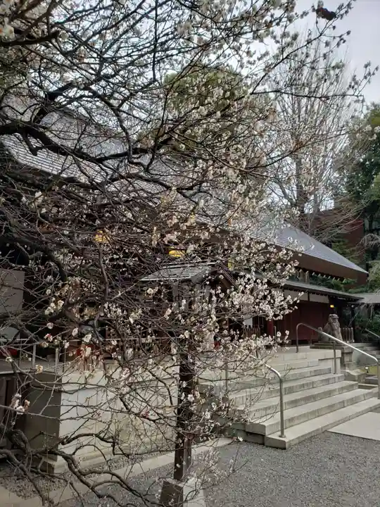 乃木神社(東京都)